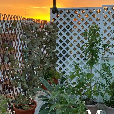 La Maison - Your For 4 Seasons *