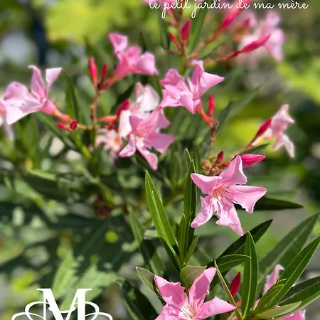 La Maison - Your For 4 Seasons 아파트 골렘