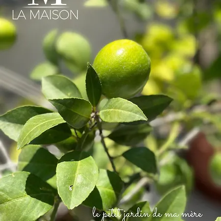 La Maison - Sea & Petit En Bois For 4 Seasons Apartment