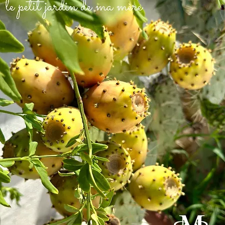 Appartement La Maison - Your For 4 Seasons *